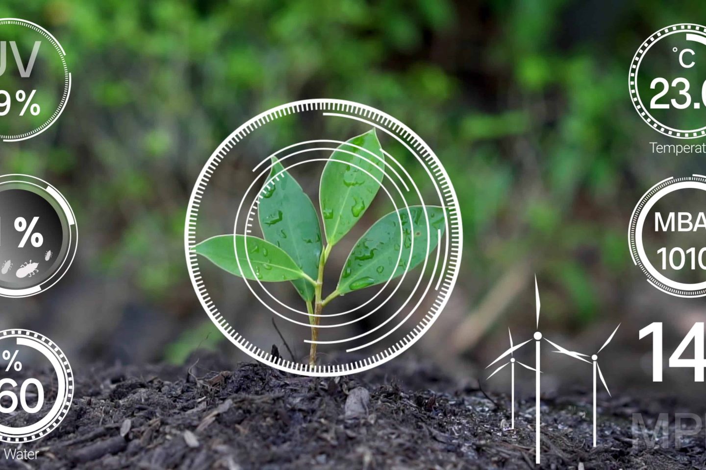 Data Science in Agriculture