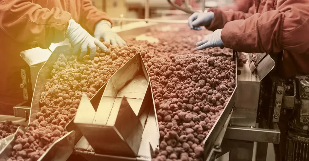 Enhancing Food Sustainability