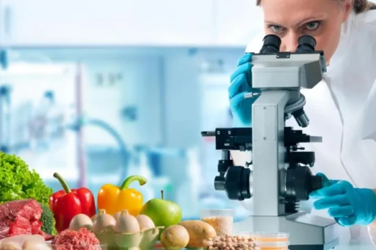 AI-Based Food Inspection