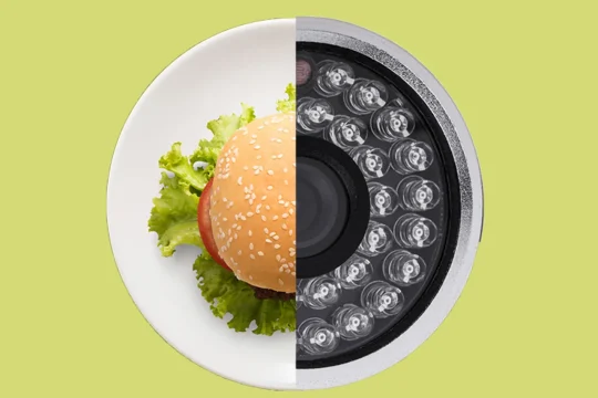 Computer Vision in the Food Industry