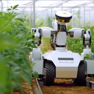 Intelligent Farming and AI