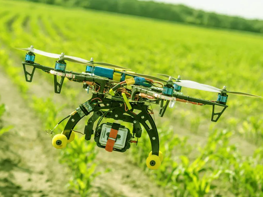 AI's Impact on Climate Resilience