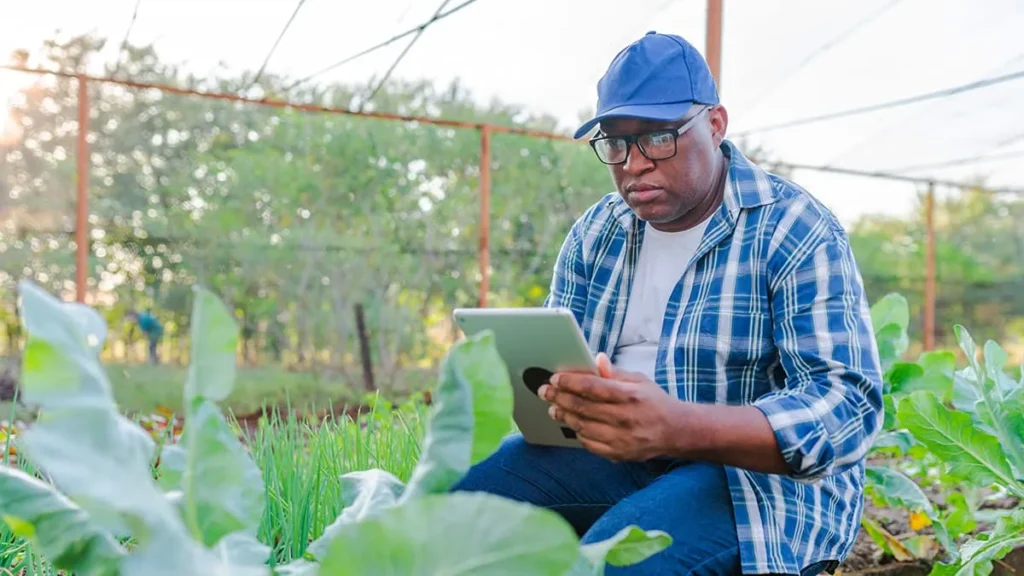 Unlocking the Future with Analytics in Agriculture