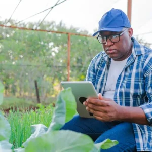 Predictive Analytics in Agriculture