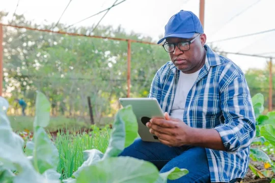 Predictive Analytics in Agriculture